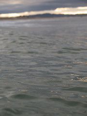Small waves breaking on a surf beach, New Zealand. 