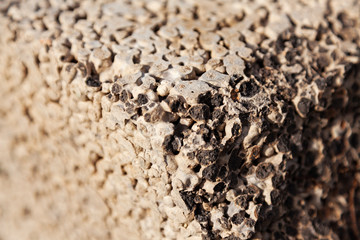 close up of blocks consisting of concrete and small balls