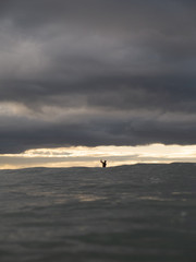 Small waves breaking on a surf beach, New Zealand. 