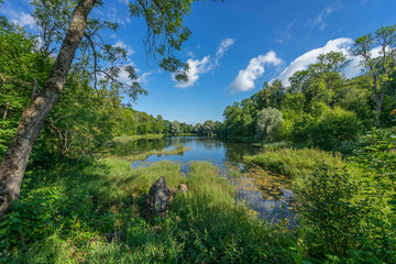 Fototapeta premium Lake in the forest Leningrad region, Russia. Russian nature.