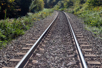 Fototapeta premium Railroad tracks through the forest