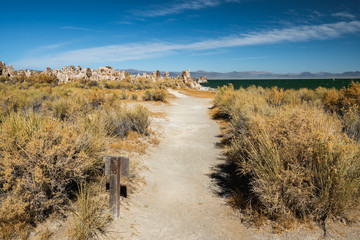 Mono Lake shore path, fall colors.  Mono Lake Tufa State Natural Reserve, California.