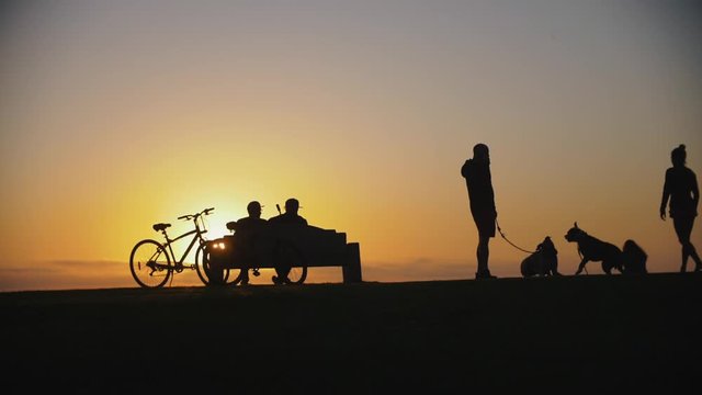 Slow motion footage of silhouettes of playing dogs outdoors while sunset in a park with people enjoying the view - Relaxing moments to get new energy