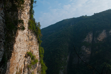 Zhangjiajie Grand Canyon, Hunan, contains mountain streams, silk-like smooth water, birds playing in the water, aquatic plants, ossy stones, cliffs, green trees environment, blue sky and reflection as