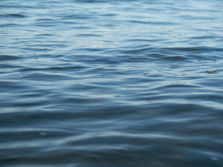 Small waves breaking on a surf beach, New Zealand. 