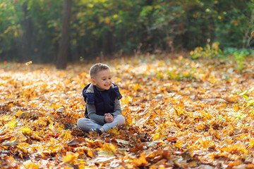 Smiling adorable boy with leaves in autumn park
