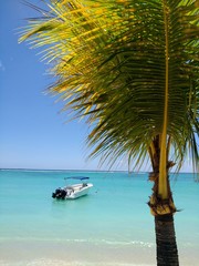 Beautiful view of the Indian Ocean with a palm tree and a boat