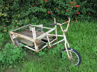 the abandoned tricycle is in the garden design for old memory concept