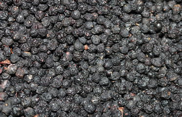 black dried of cherry fruits
