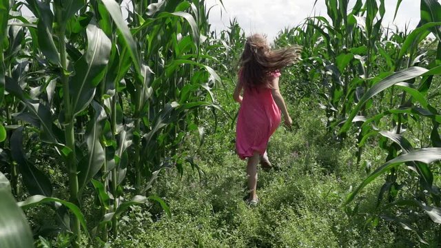 little girl in a pink dress runs across a corn field. slow motion