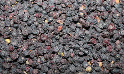 black fruits of dried blueberries
