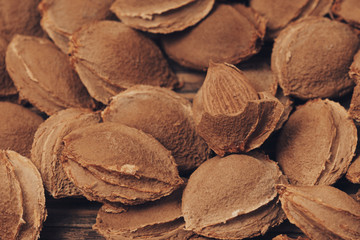  apricot pits and kernels on a rustic wooden scratched board .  Healthy food background. Close up