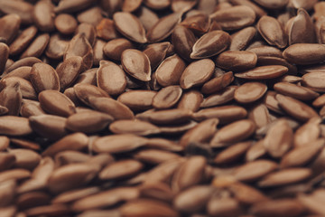 Linum usitatissimum is scientific name of Brown Flax seed. Background texture