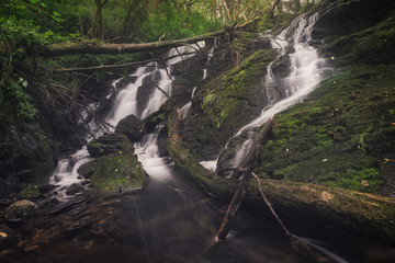 Waterfall in the forest