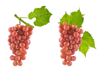 Grapes isolated on white background with clipping path