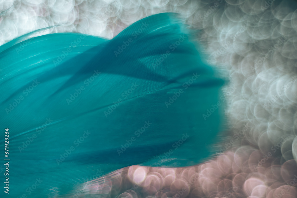 Poster Close up Beautiful blue Bird feather pattern on a bokeh background for design texture.