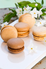 Macarons
