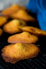 Madeleines à la vanille