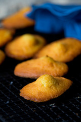 Madeleines à la vanille