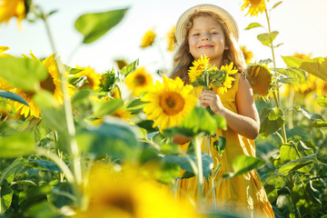 Child in a sunflower field. High quality photo.