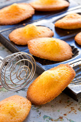 Madeleines à la vanille