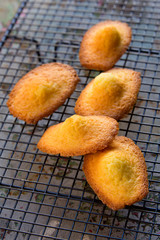 Madeleines à la vanille