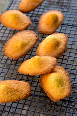 Madeleines à la vanille