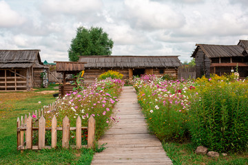 Countryside landscape with old wood houses on background, wood road and garden with rural flowers on foreground.