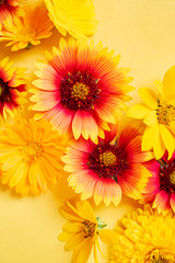 nice flowers on the yellow background