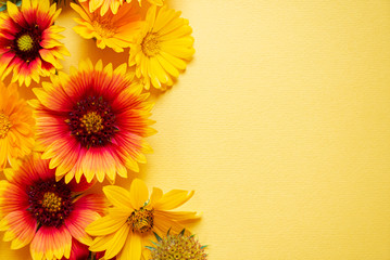nice flowers on the yellow background