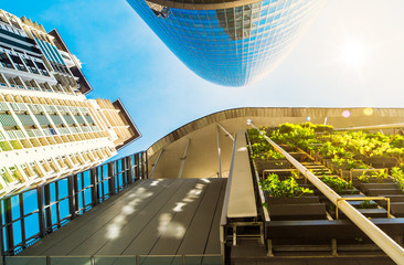 Fototapeta premium Street tree and modern office Buildings in sunlight