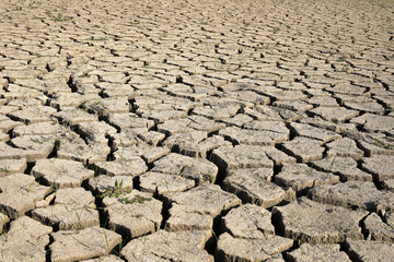 The cracked crust of the earth