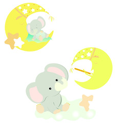 vector baby, cute and kind illustration of elephants and month