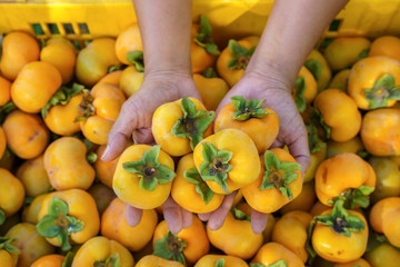Hand holding fresh ripe persimmons in basket. Persimmons background.