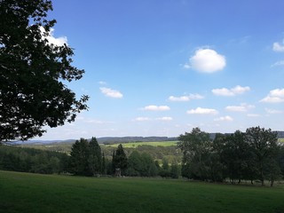 Obraz premium Wilnsdorf landscape with trees