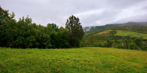 rural area in mountains. misty september morning. empty fields on the hills. overcast sky