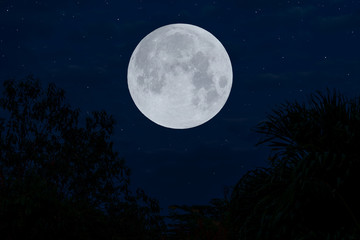 Fototapeta na wymiar Full moon on sky with silhouette trees in the night.