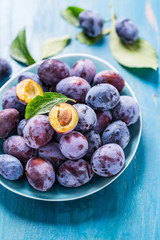 Freshly picked plums (Zwetschgen) fruits in bowl on cyan background.