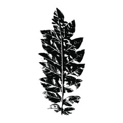Imprint of a branch with leaves. Isolated botanical element. Suitable for design; pattern; postcard; print. Vector illustration.