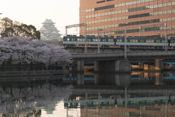 Fototapeta na wymiar 大阪城と緑の電車と桜の花