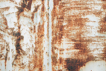 White Rust Metal Decayed Crumpled Sheet Wide Background.