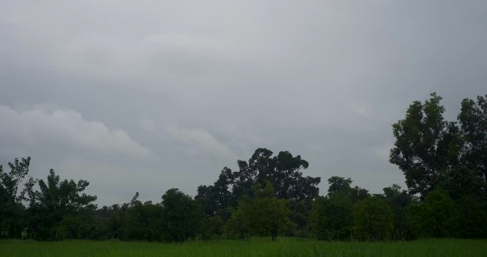 timelaps of cloudes with moving trees wide shot.