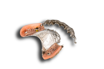 Removable partial metal swinglock upper denture opened on white background.