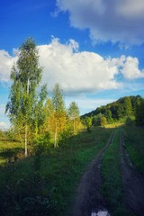Fototapeta na wymiar road after rain outside the city on a clear autumn day, nature of Russia