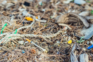 Spilled rubbish on the ground in the forest park. Ropes and plastic medical syringe. Environmental pollution, people don't care, drug addiction narcomaniac, danger walking barefoot because syringes