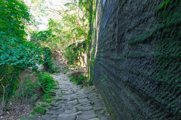 千葉県安房郡鋸南町の鋸山の景色
