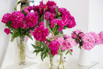 Pink peonies in vases against a white wall.