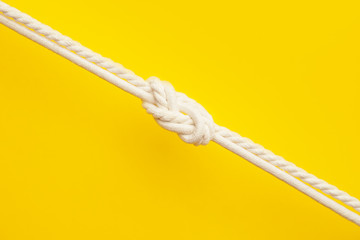Ropes with knot on color background