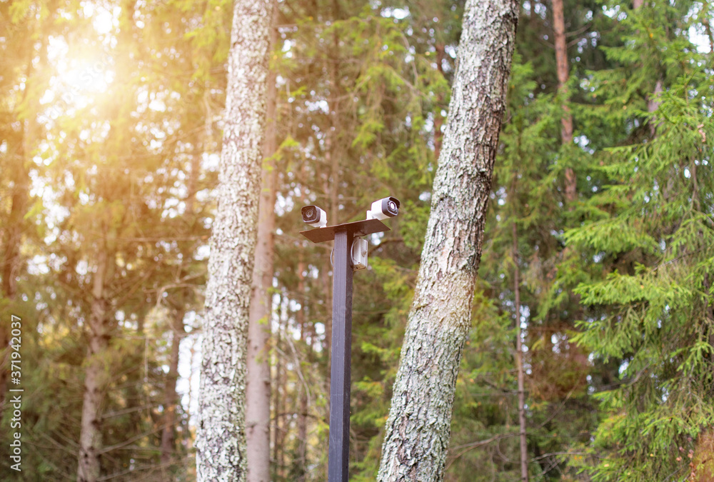 Wall mural two cctv cameras in the forest against the background of trees, copy space for text