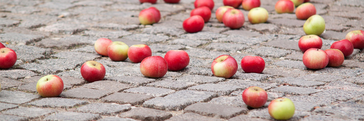 delicious red ripe apples lie on the pavement